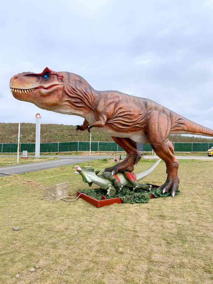 浪漫遇花村-"就在秀丽东方对面～大众买票35.8.门口."-大众点评移动版