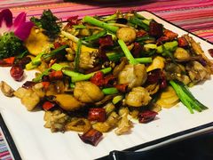 牛肝菌爆牛蛙-香巴拉云南餐厅(华莱坞店)