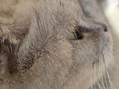 -宠颐生动物医院·心脏科·保险定点(锦阳分院)