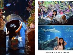 -暹罗海洋世界