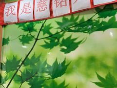 -慈铭体检(亚运村分院)