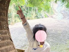 -海南霸王岭国家森林公园