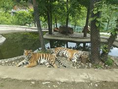 -栾川竹海野生动物园