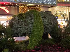 -南屏步行街