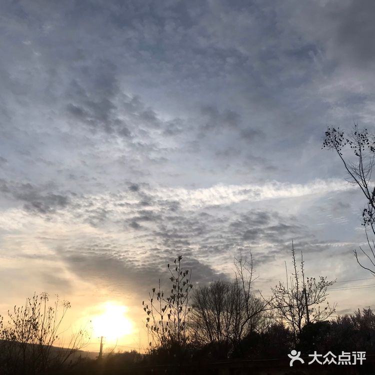 最好的踏青去处就去取快递的路了吧