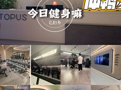 -章鱼健身 Octopus