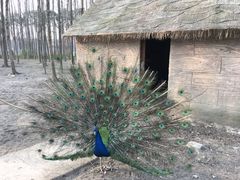 -昆山城市生态森林公园