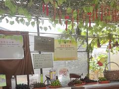 -马陆小张葡萄园农家乐