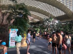 -杭州开元森泊度假乐园