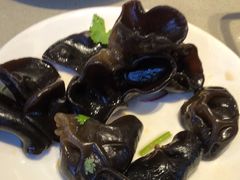 -蝎王府羊蝎子(西直门店)
