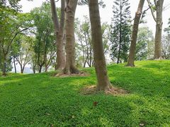 -顺峰山公园
