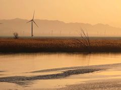 -野鸭湖国家湿地公园