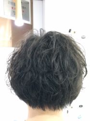 -镁连社·美联社