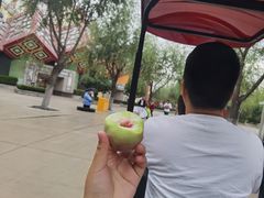 -济南方特东方神画