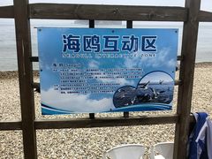 -棒棰岛宾馆景区