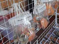 -蓝湾碧波·老字号·疍家非遗海上餐厅