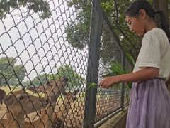 -西安秦岭野生动物园