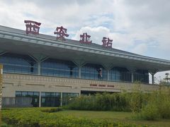 -大嘻咹biangbiang面(历史博物馆店)