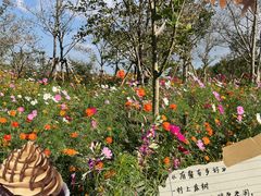 -世纪公园-世纪春沁园