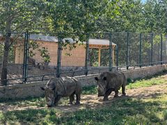 -大连森林动物园