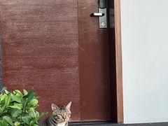 -蓝楹湾度假酒店