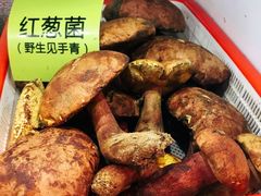 -菌海森林·非遗野生菌火锅(西山区滇池路摩根道店)