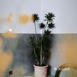 十方咖啡｜来咖啡店和老板聊聊咖啡▪️