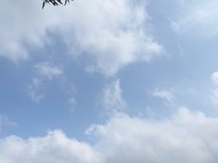 -龙道沟景区