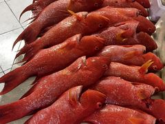-毛里求斯小四川餐厅总店