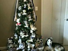 -欢乐盛KTV音乐会所(泰然店)