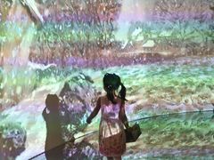 -印象莫奈时光映迹艺术展