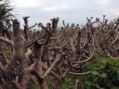 -龙坑生态保护区