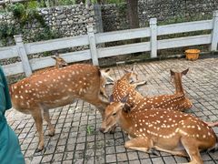 -北京野生动物园
