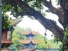 -盘龙寺
