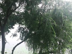 -上海怡沁园度假酒店