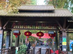 -东平国家森林公园