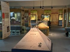 -古陶文明博物馆