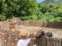 -泉州海丝野生动物世界