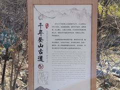 -北京鹫峰国家森林公园