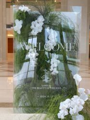 -DC大蔡婚礼策划(李公堤店)