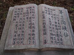 -茅兰沟国家森林公园