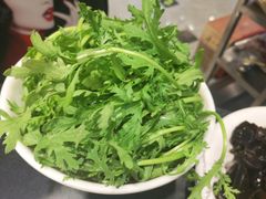 茼蒿-草原饭店火锅