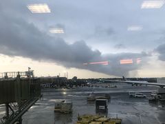 -纽瓦克自由国际机场