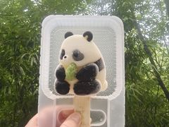 -都江堰中华大熊猫苑