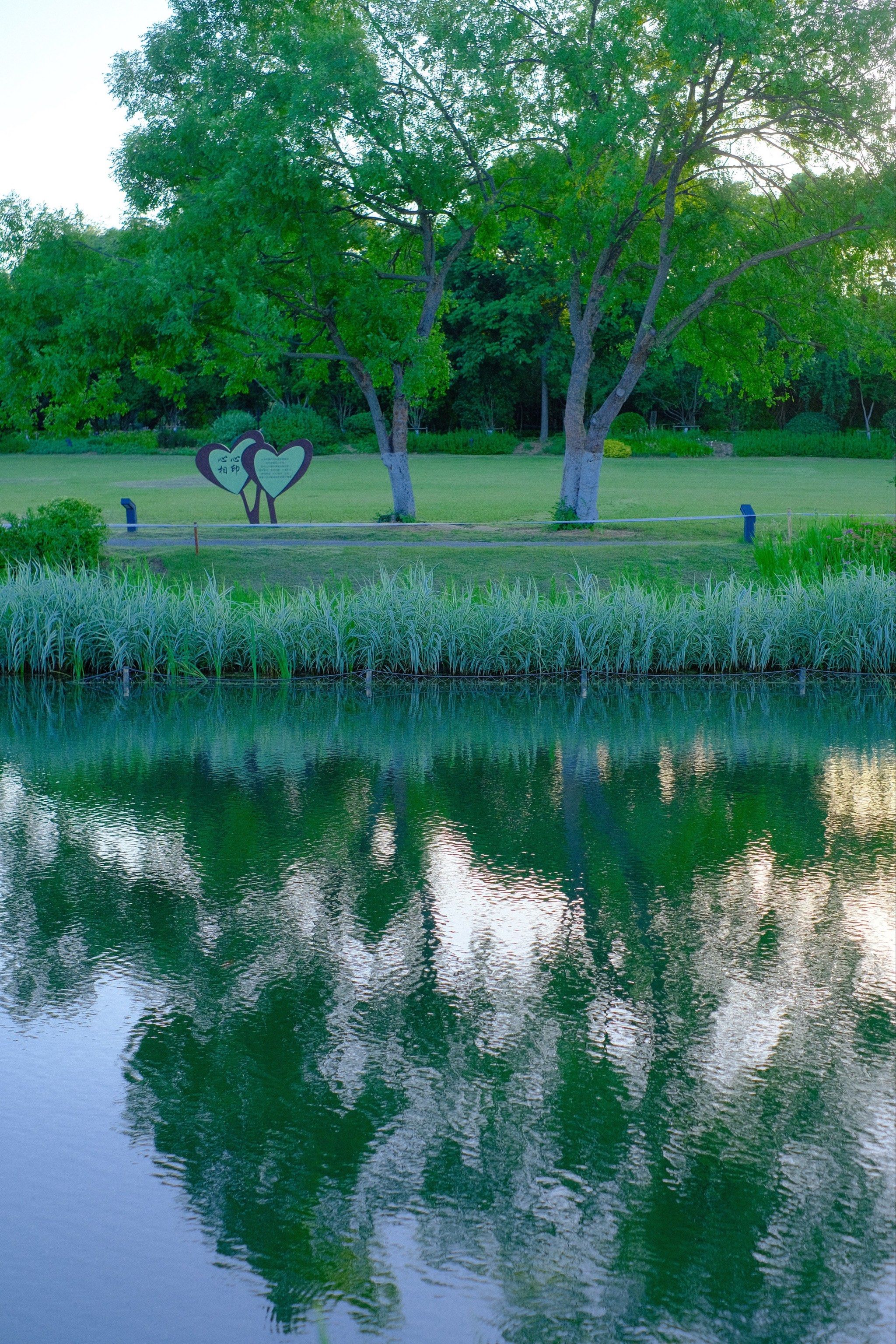 合肥这个公园人少景美好逛