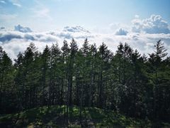 -富士山吉田線五合目