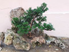 -莲心素食茶艺馆(章华寺店)