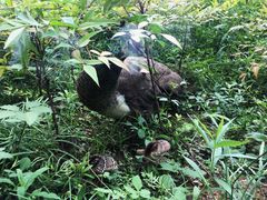 -苏州环秀晓筑养生度假村