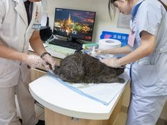 -全心全意连锁动物医院·特色中医诊疗(会城门分院)