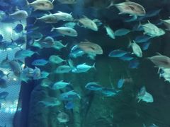 -成都浩海立方海洋公园